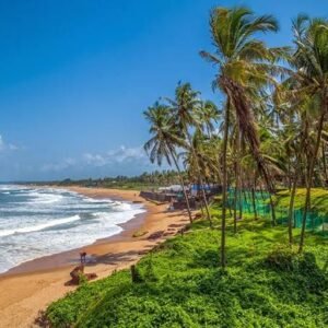 2 Nights in Paradise: Goa Beach Break