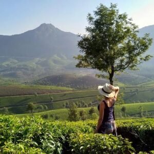 Kerala Calling: God’s Own Country Awaits