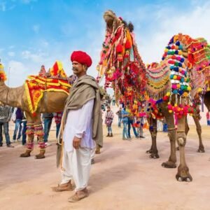 Colors & Camels: 2 nights My Journey Through Pushkar